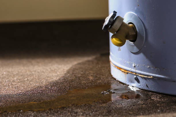Best Flooded house restoration  in Monticello, AR