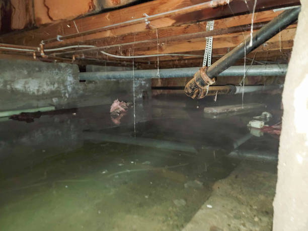 Best Emergency water damage restoration  in Monticello, AR