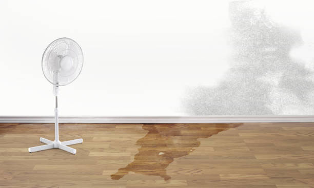 Best Commercial water damage restoration  in Monticello, AR