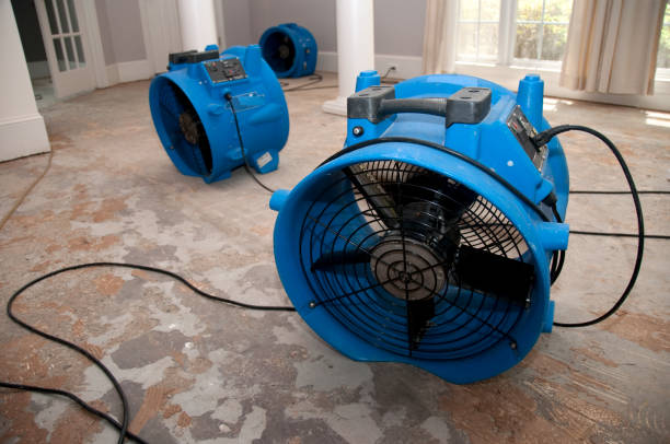 Reliable Monticello, AR Water damage restoration Solutions