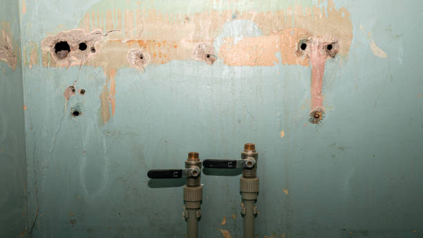 Best 24/7 water damage repair  in Monticello, AR