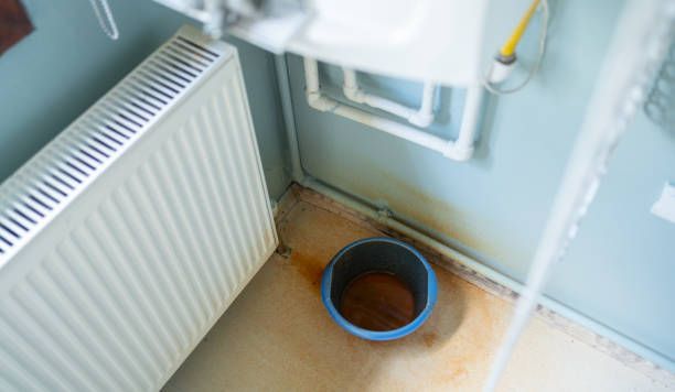Best Water damage cleanup near me  in Monticello, AR