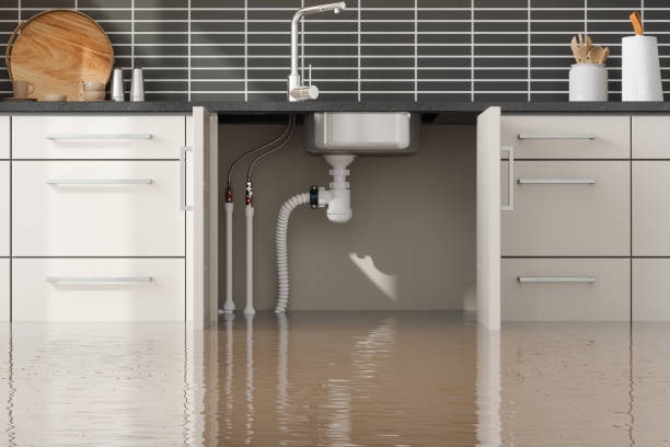 Best Local water damage restoration  in Monticello, AR