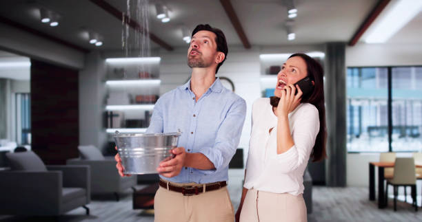 Best Water damage restoration near me  in Monticello, AR